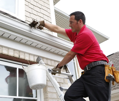 How Regular Gutter Cleaning Protects Your Home