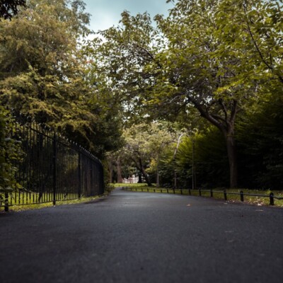 Asphalt Driveway: What Are the Advantages?