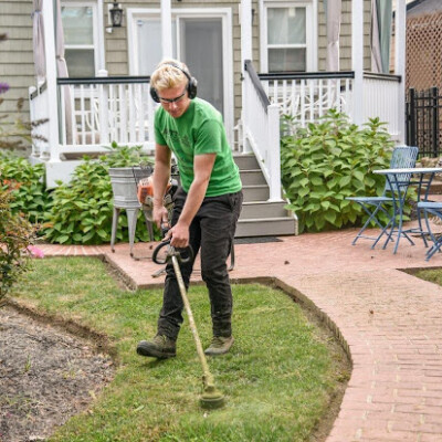 Seasonal Lawn Care Tips