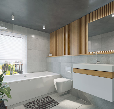 Choosing the Perfect Toilet