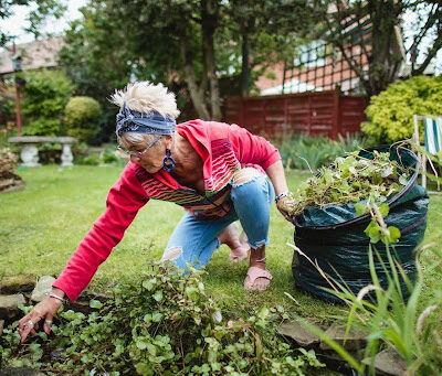 Avoiding Costly Landscaping Mistakes