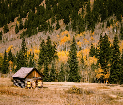 Log Cabins: Timeless Charm