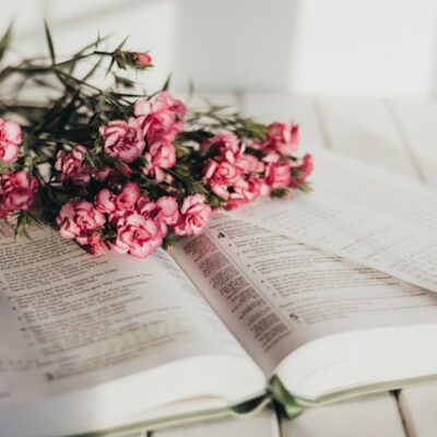 Exploring the New International Version Bible