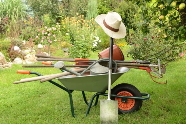 Organic Garden Fertilizer