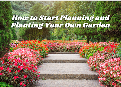 How to Start Planning and Planting Your Own Garden
