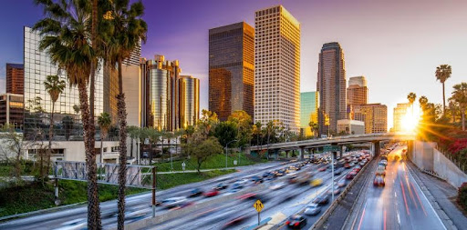 Estate Litigation Attorney