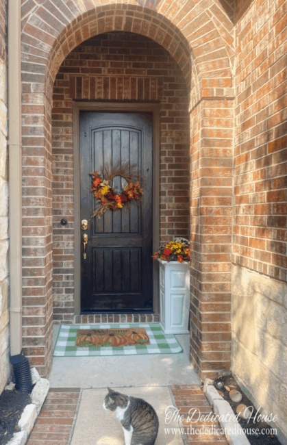 Touches of Fall Decor