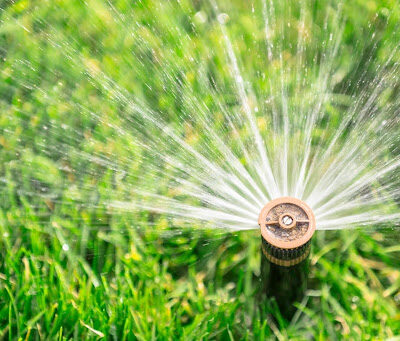Smart and Simple Lawn Care Tips