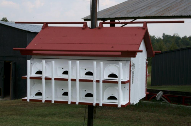 Purple Martin Bird House