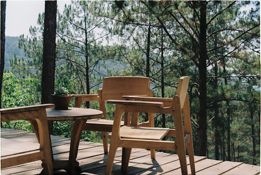 What Are Pressure-Treated Deck Boards?