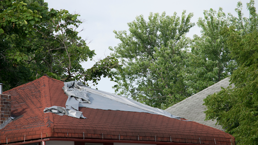 Tree Pollen and Debris on Your Roof