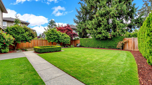 Backyard Features