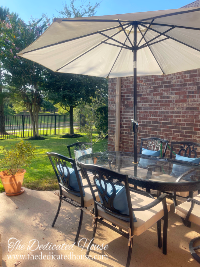 Late Summer Patio