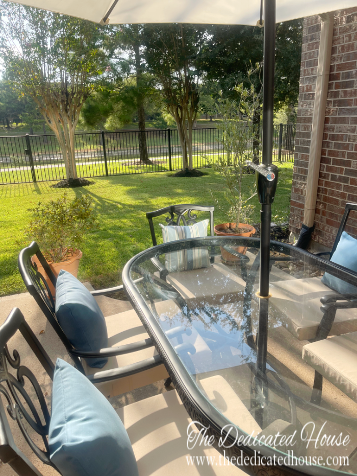 Late Summer Patio