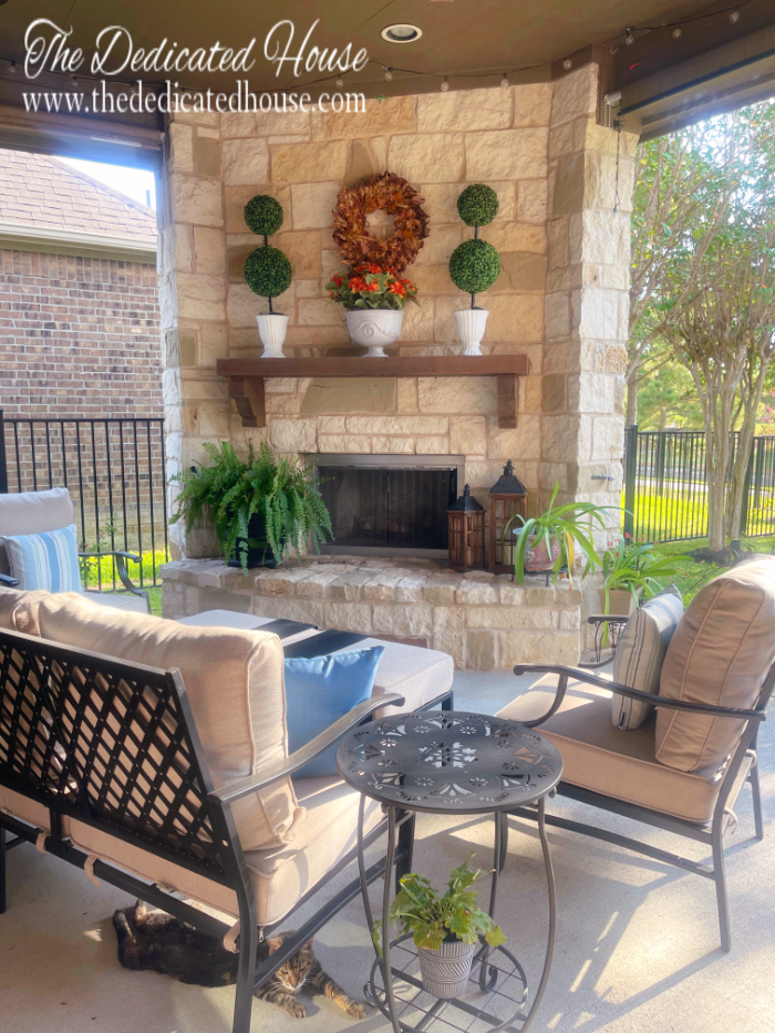 Late Summer Patio