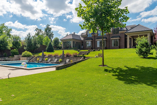 How to Create a Lush Lawn for Your Home